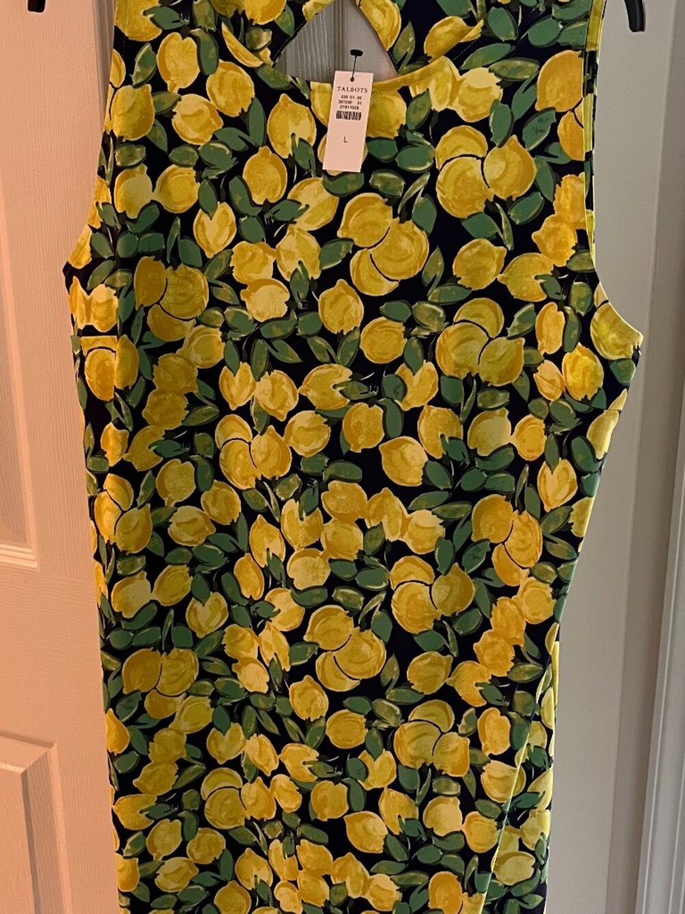 Talbots Summer Dress